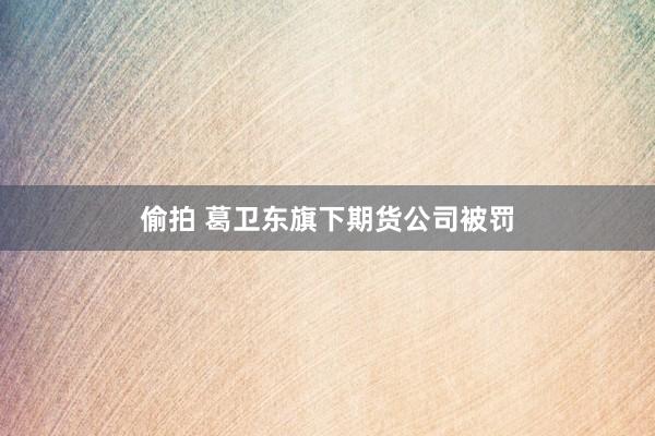 偷拍 葛卫东旗下期货公司被罚