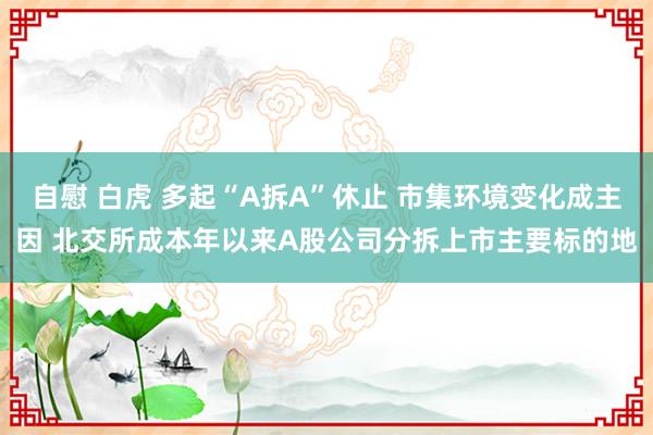 自慰 白虎 多起“A拆A”休止 市集环境变化成主因 北交所成本年以来A股公司分拆上市主要标的地