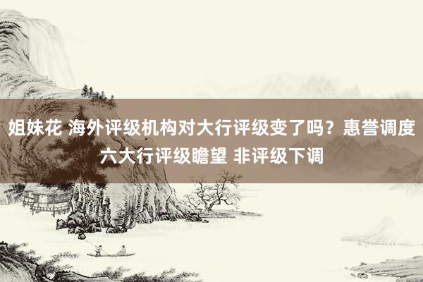 姐妹花 海外评级机构对大行评级变了吗？惠誉调度六大行评级瞻望 非评级下调