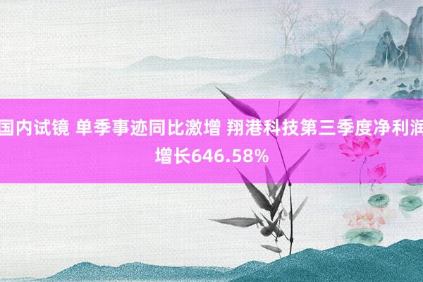 国内试镜 单季事迹同比激增 翔港科技第三季度净利润增长646.58%