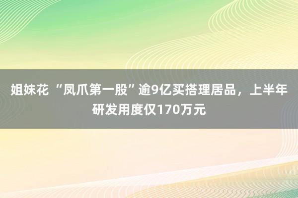 姐妹花 “凤爪第一股”逾9亿买搭理居品，上半年研发用度仅170万元