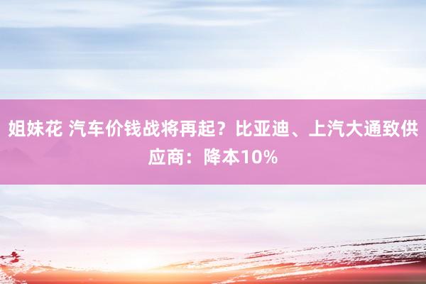 姐妹花 汽车价钱战将再起？比亚迪、上汽大通致供应商：降本10%