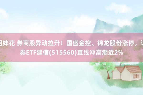 姐妹花 券商股异动拉升！国盛金控、锦龙股份涨停，证券ETF建信(515560)直线冲高潮近2%