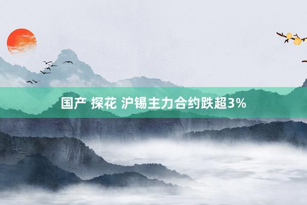 国产 探花 沪锡主力合约跌超3%