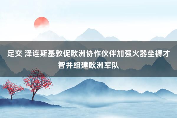 足交 泽连斯基敦促欧洲协作伙伴加强火器坐褥才智并组建欧洲军队