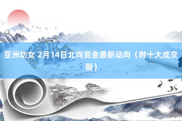 亚洲幼女 2月14日北向资金最新动向（附十大成交股）