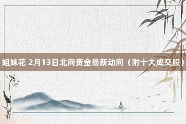 姐妹花 2月13日北向资金最新动向（附十大成交股）