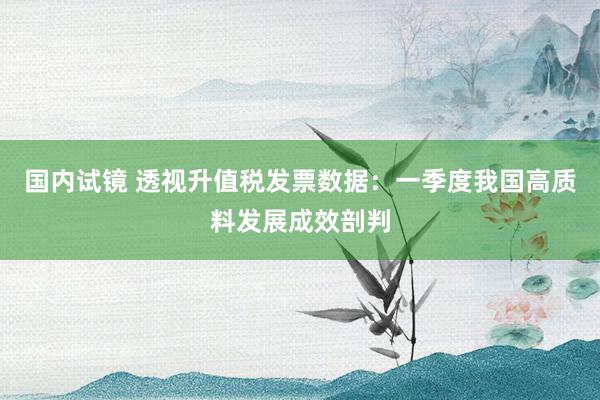 国内试镜 透视升值税发票数据：一季度我国高质料发展成效剖判