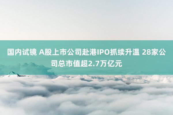 国内试镜 A股上市公司赴港IPO抓续升温 28家公司总市值超2.7万亿元
