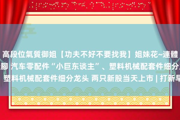 高段位氣質御姐【功夫不好不要找我】姐妹花~連體絲襪~大奶晃動~絲襪騷腳 汽车零配件“小巨东谈主”、塑料机械配套件细分龙头 两只新股当天上市 | 打新早知谈